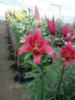 [4155 Believe Mak No301.JPG]